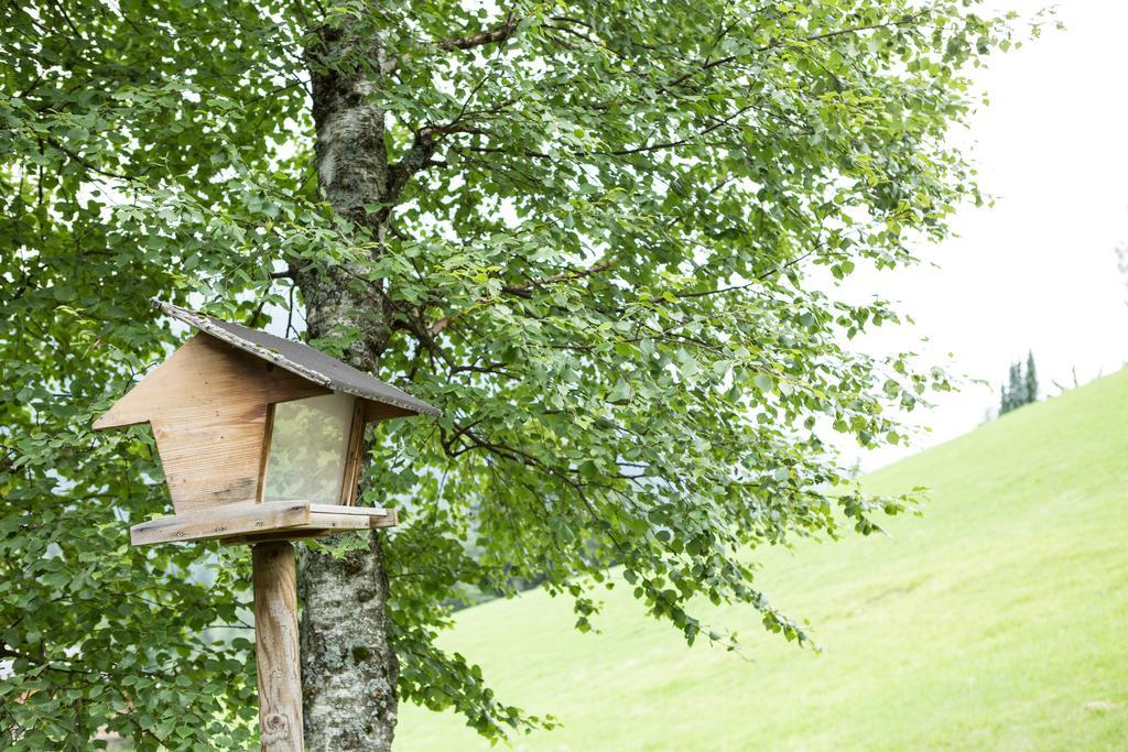 Ferienhaus Sara Бад Клайнкирххайм Екстериор снимка